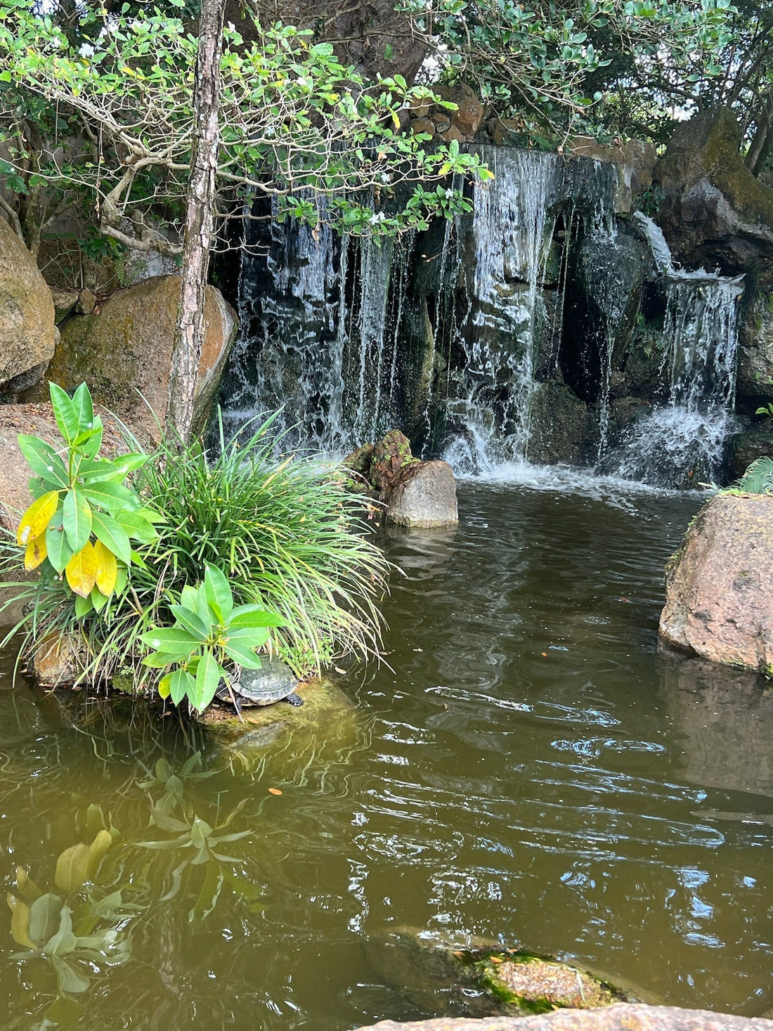 That's What She Said