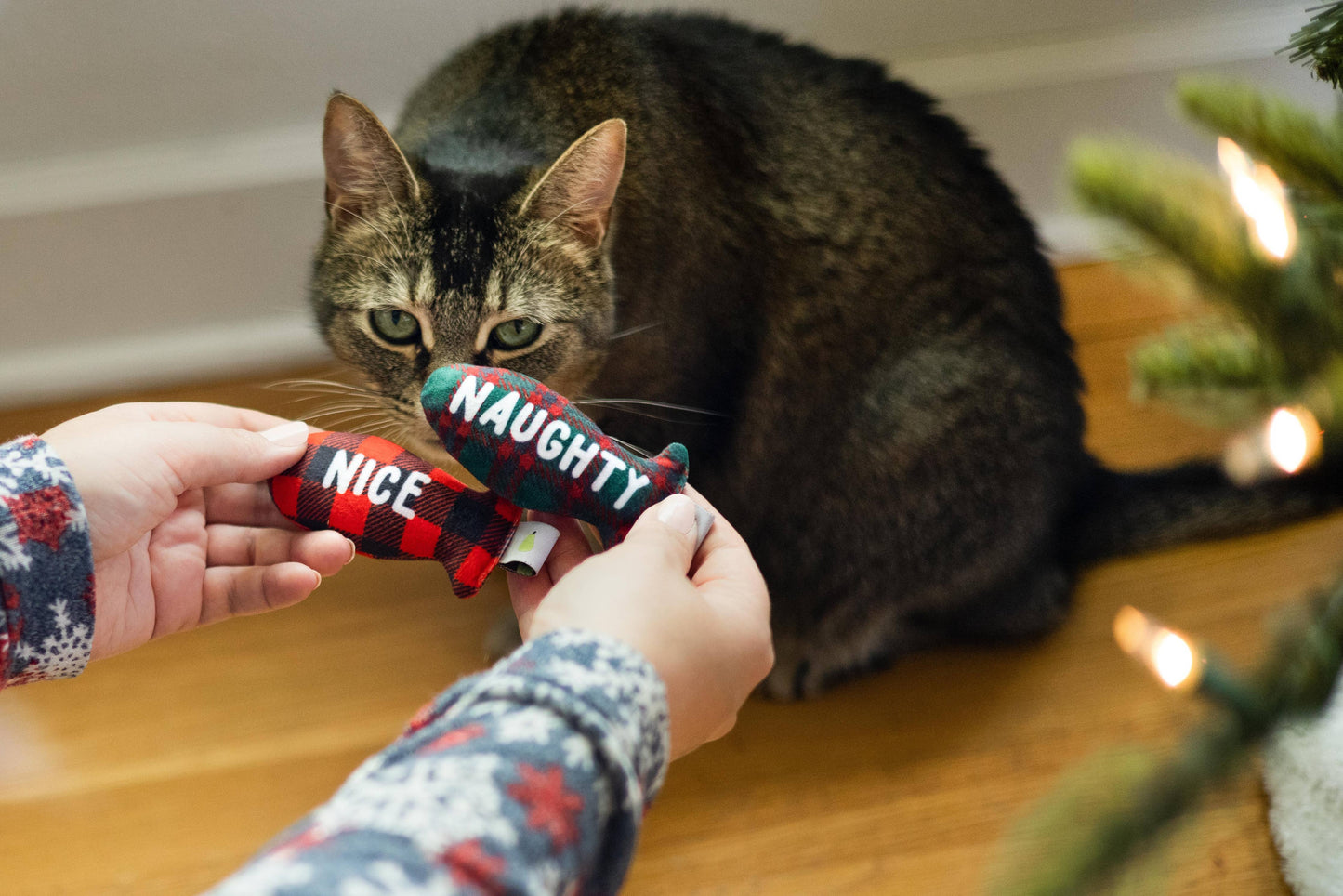 Christmas Naughty & Nice Cat Toys