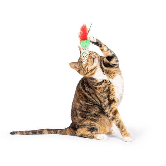 Christmas Stocking Flinger Cat Toy