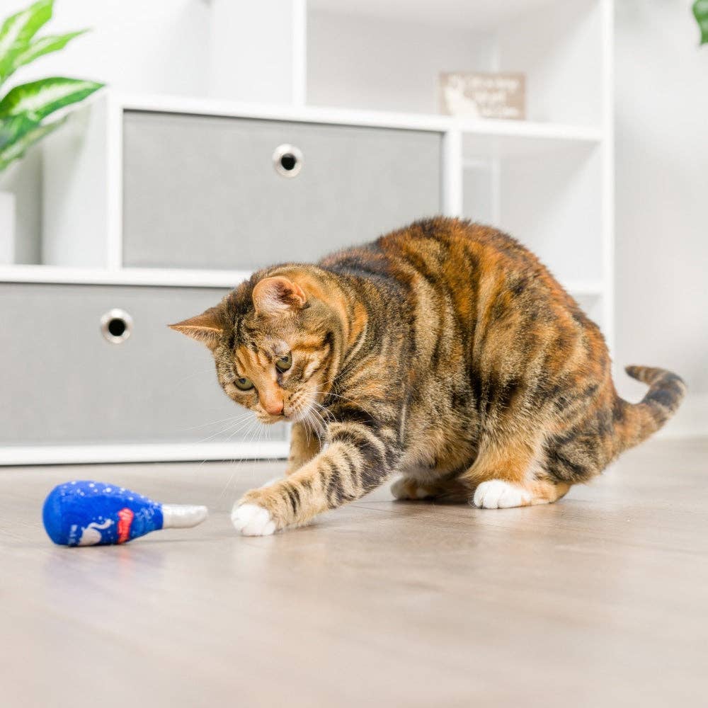 Jelly Roll & Meowchewits 2pk Cat Toy