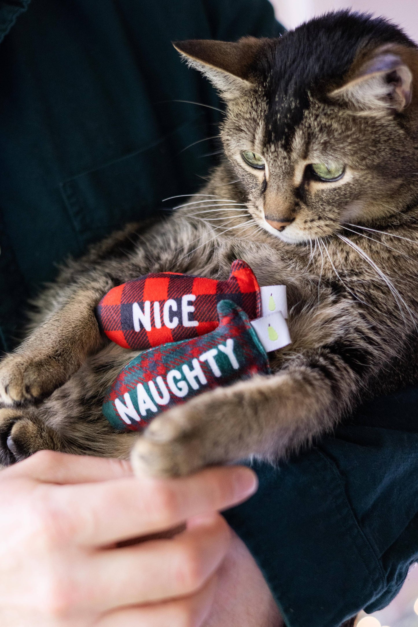 Christmas Naughty & Nice Cat Toys