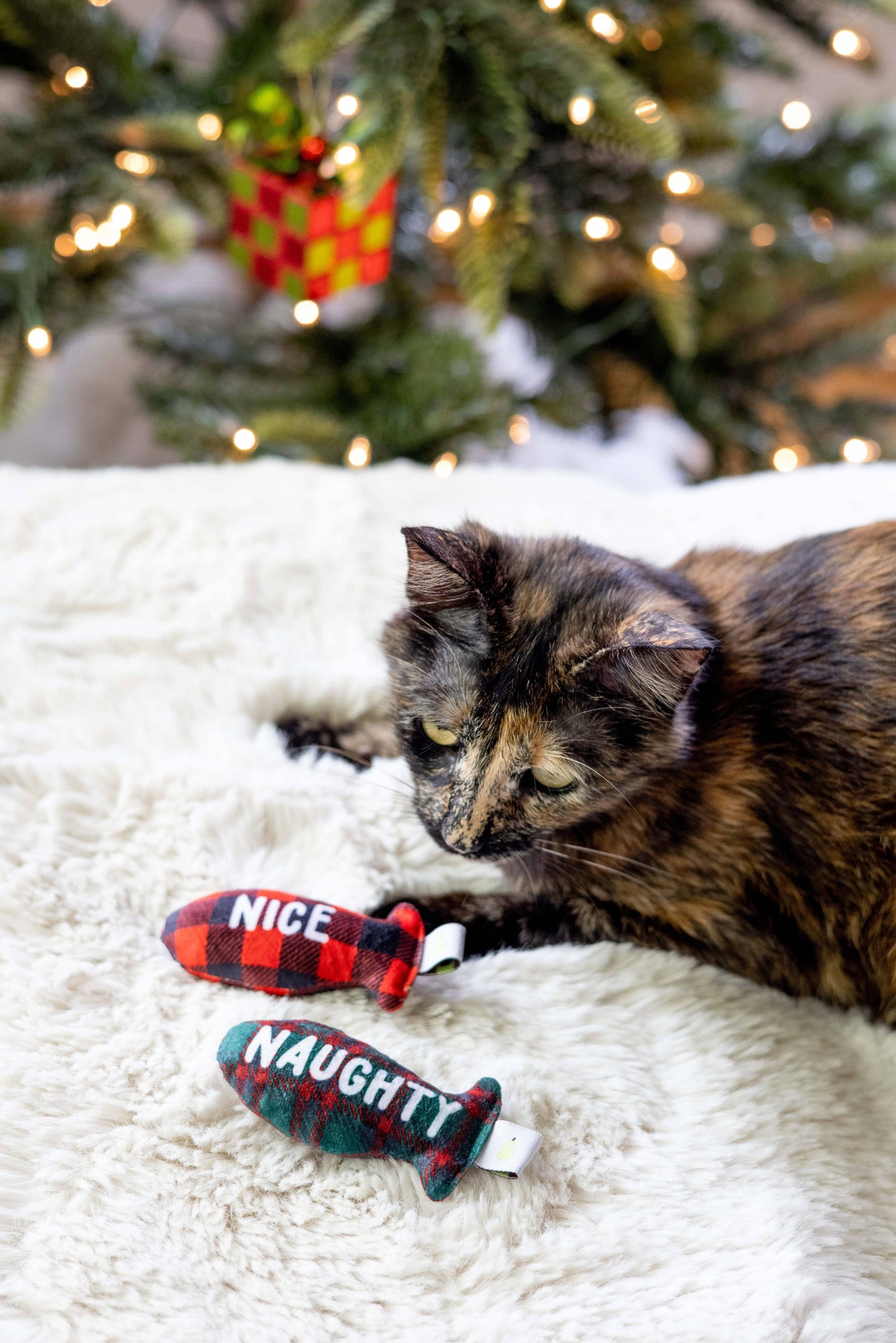 Christmas Naughty & Nice Cat Toys