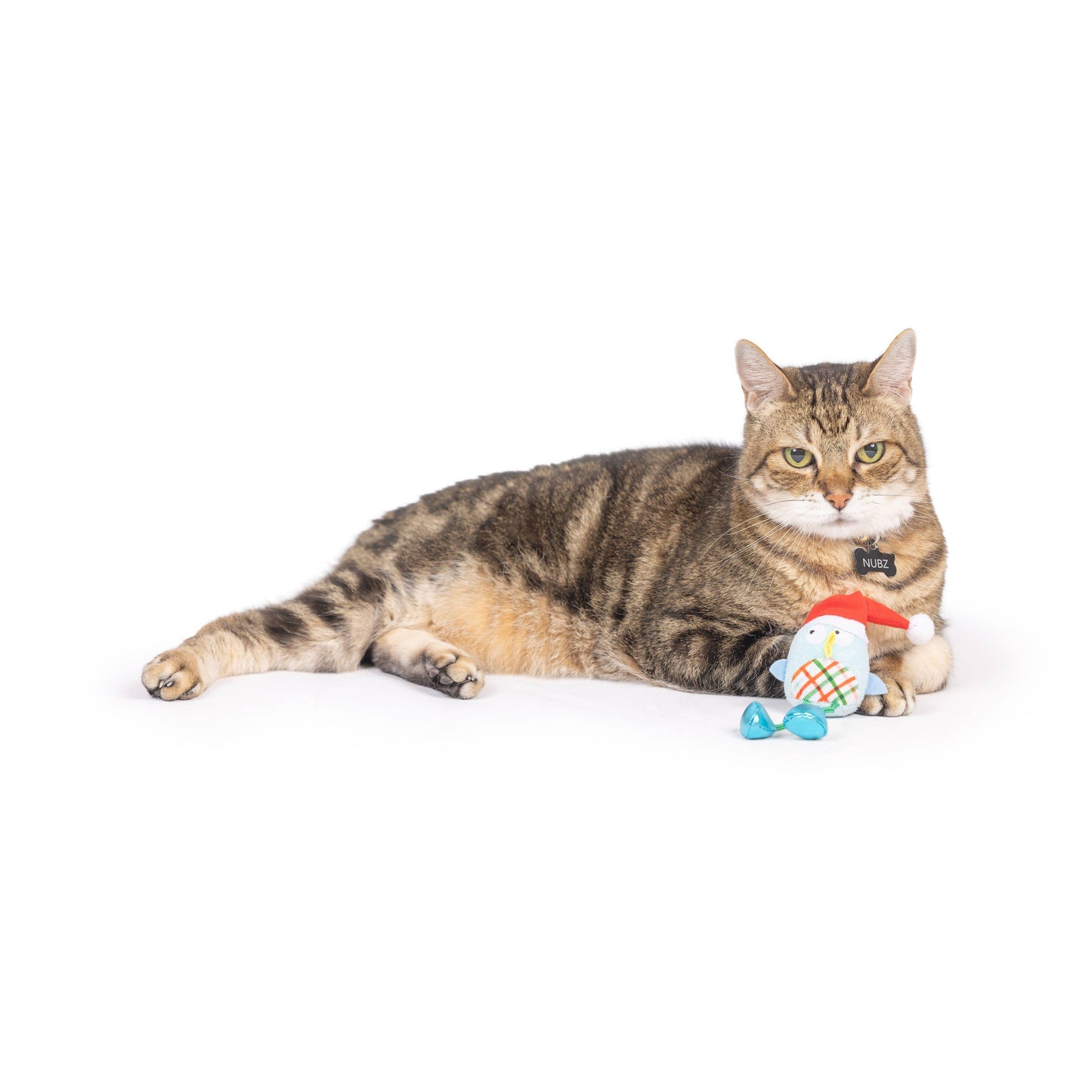 Holiday Bird Chirpy Cat Toy
