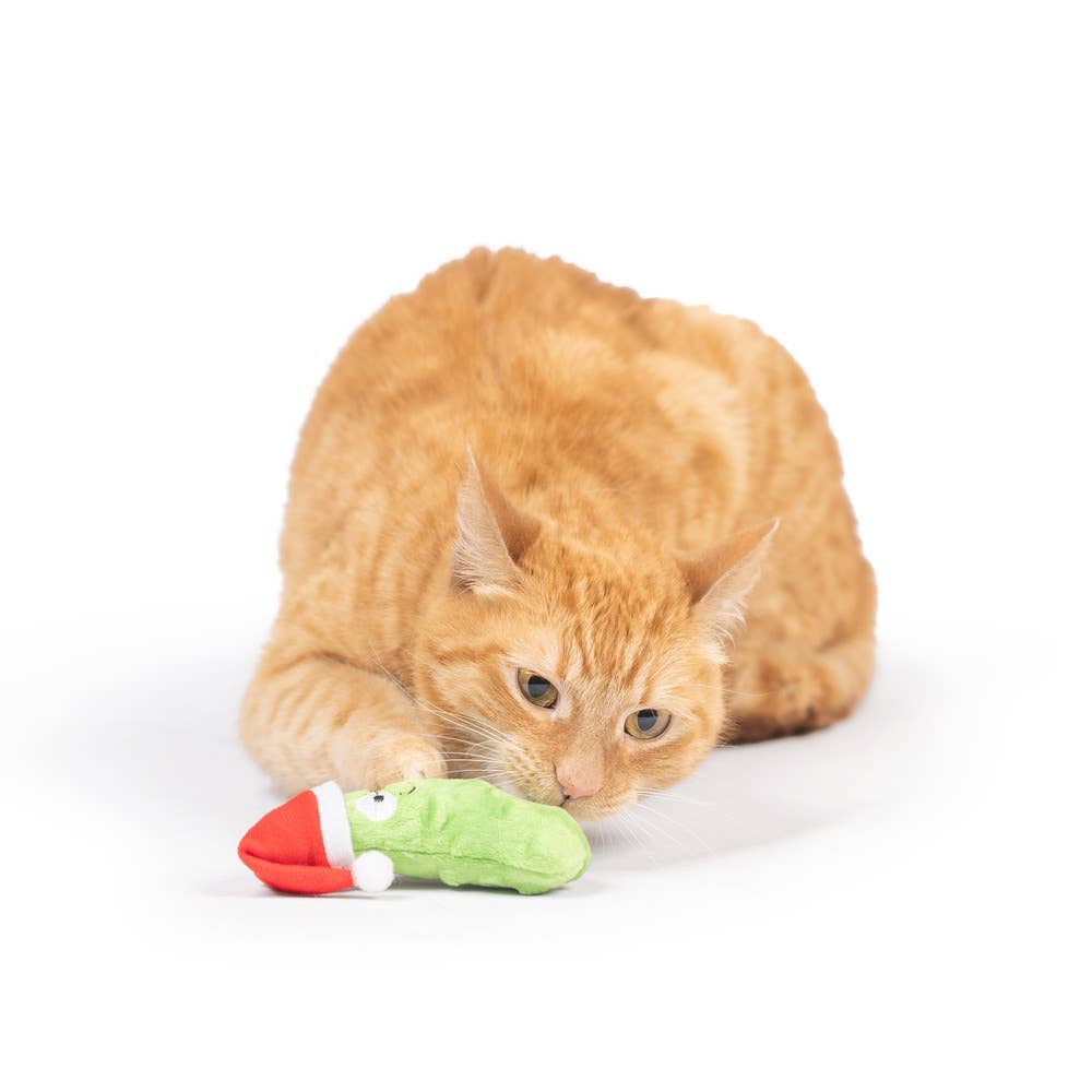 Dilly Claus Cat Toy