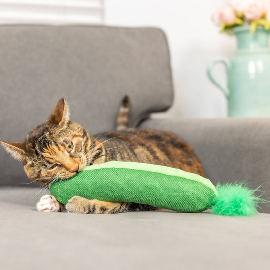 Huge Pickle Kicker Cat Toy