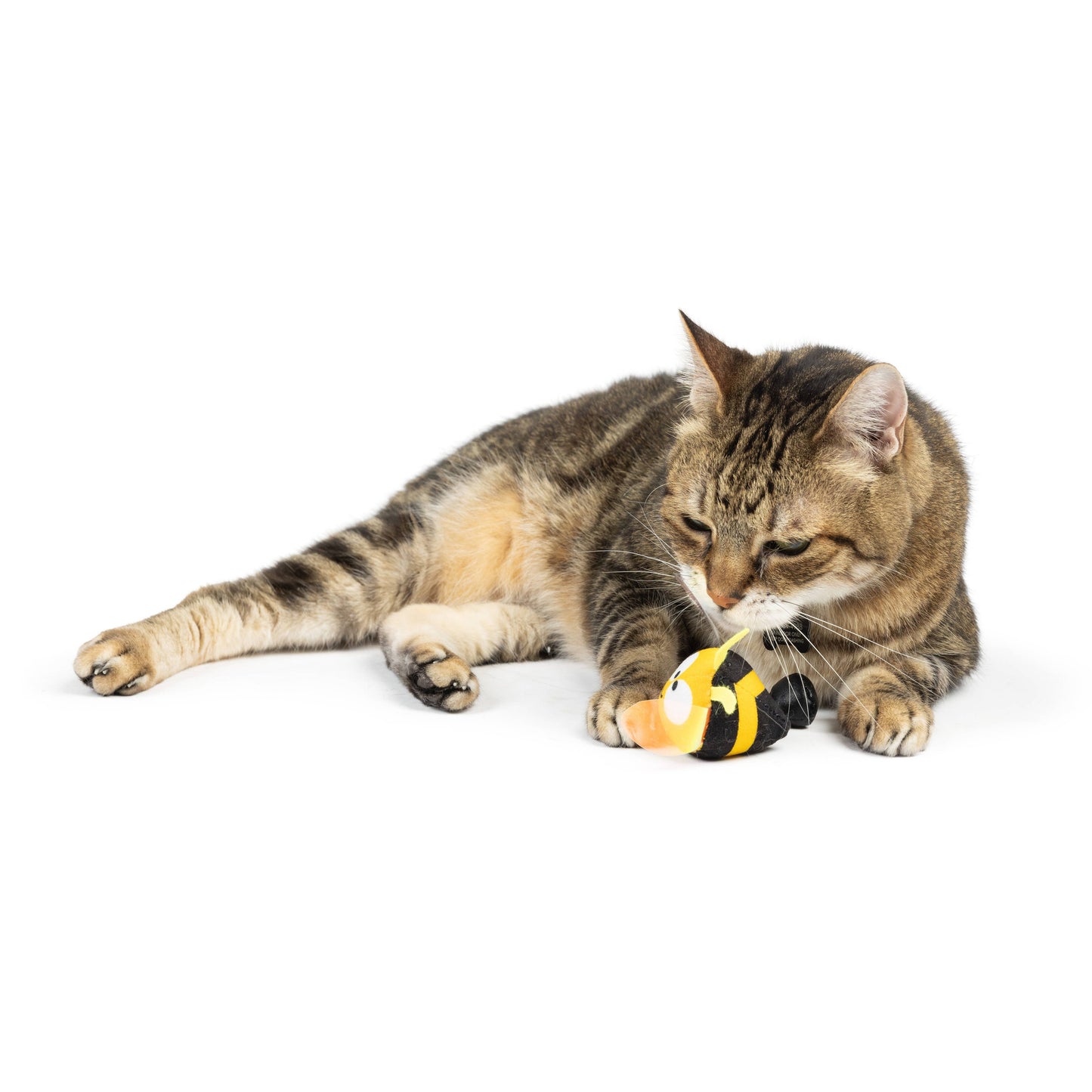 Bumble Bee Flinger Cat Toy