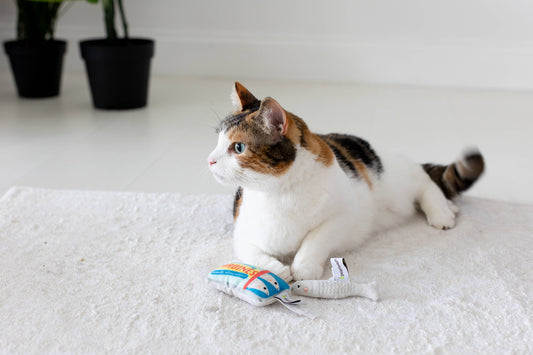 Sardines Cat Toys
