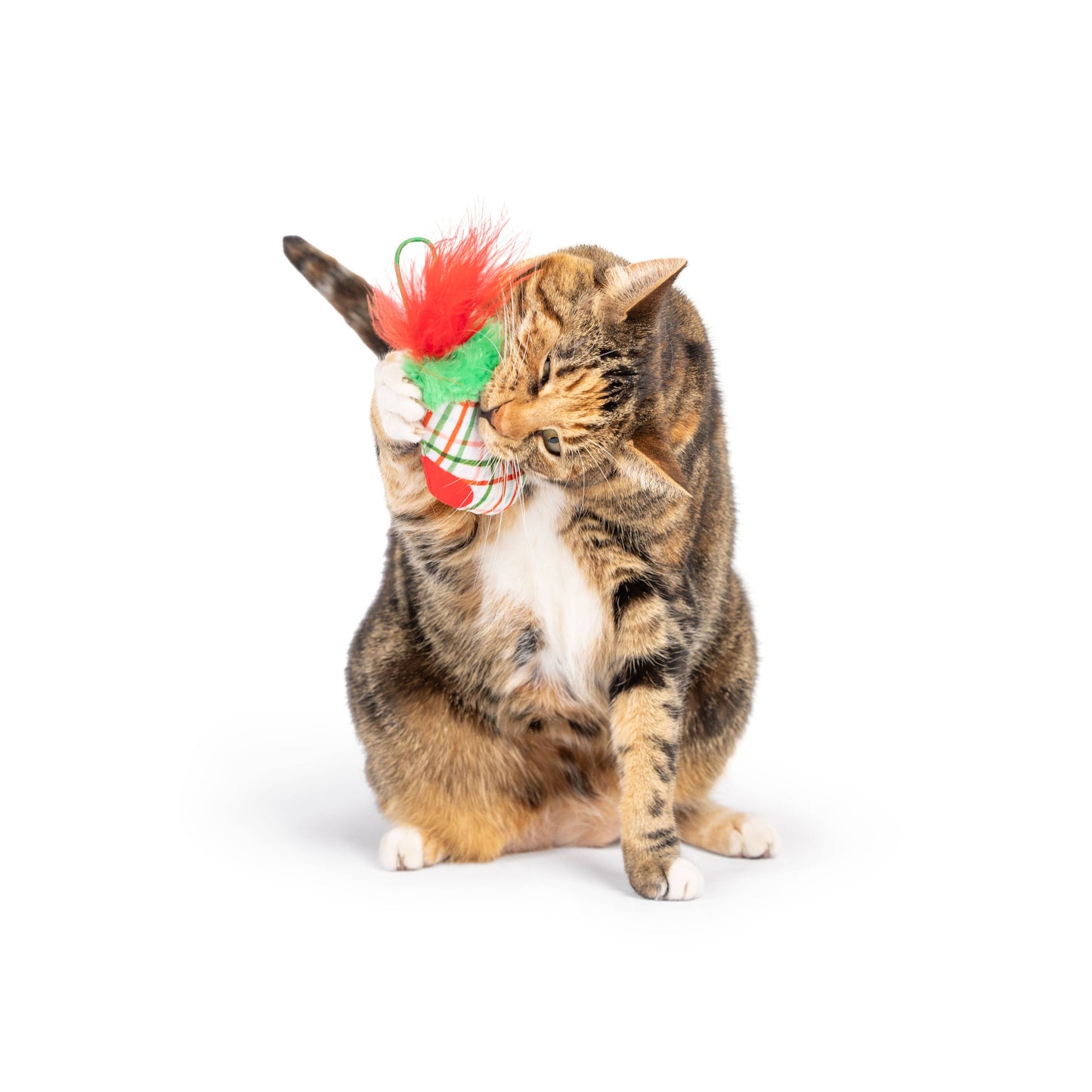 Christmas Stocking Flinger Cat Toy