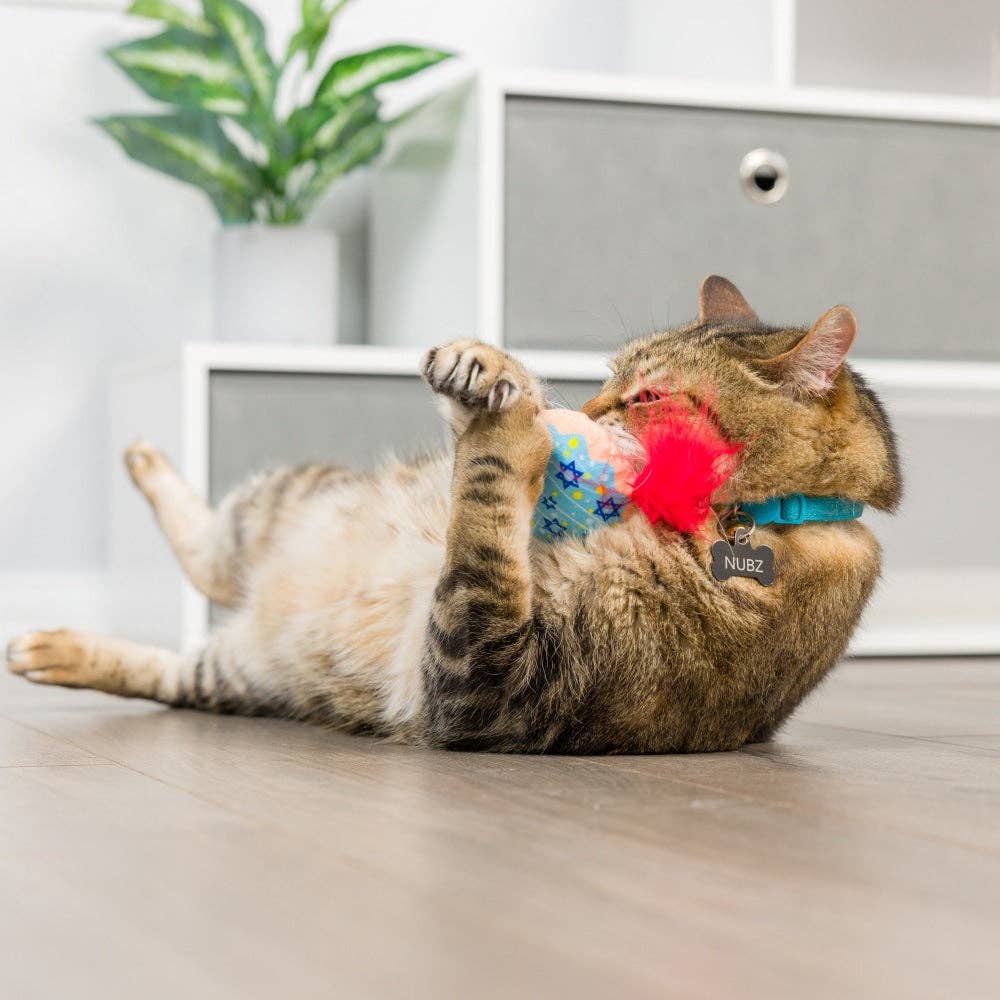 Jelly Roll & Meowchewits 2pk Cat Toy