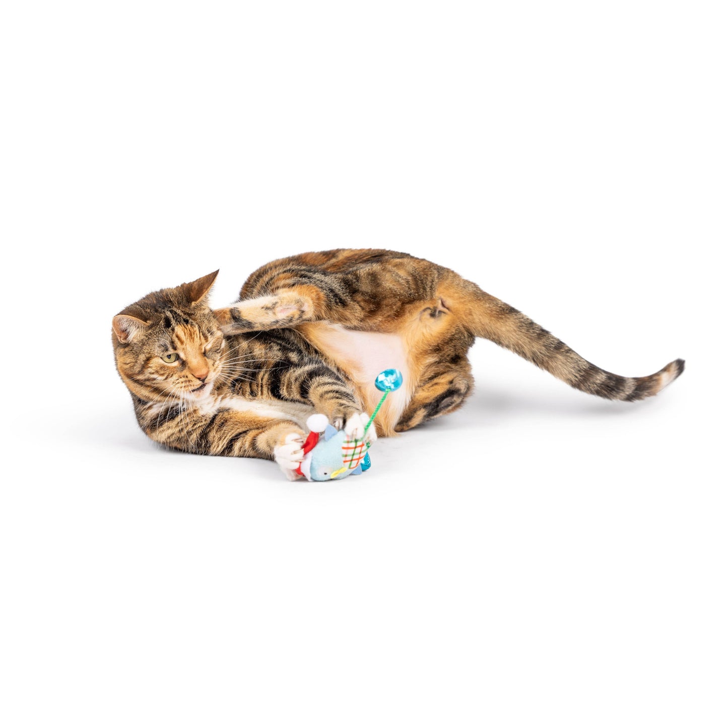 Holiday Bird Chirpy Cat Toy