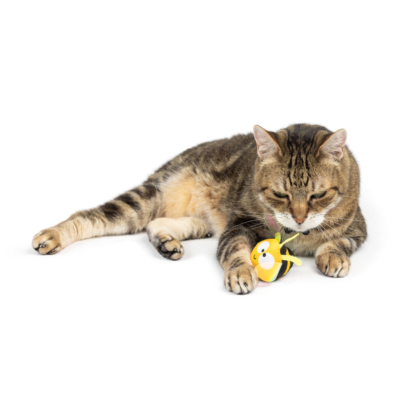 Bumble Bee Flinger Cat Toy