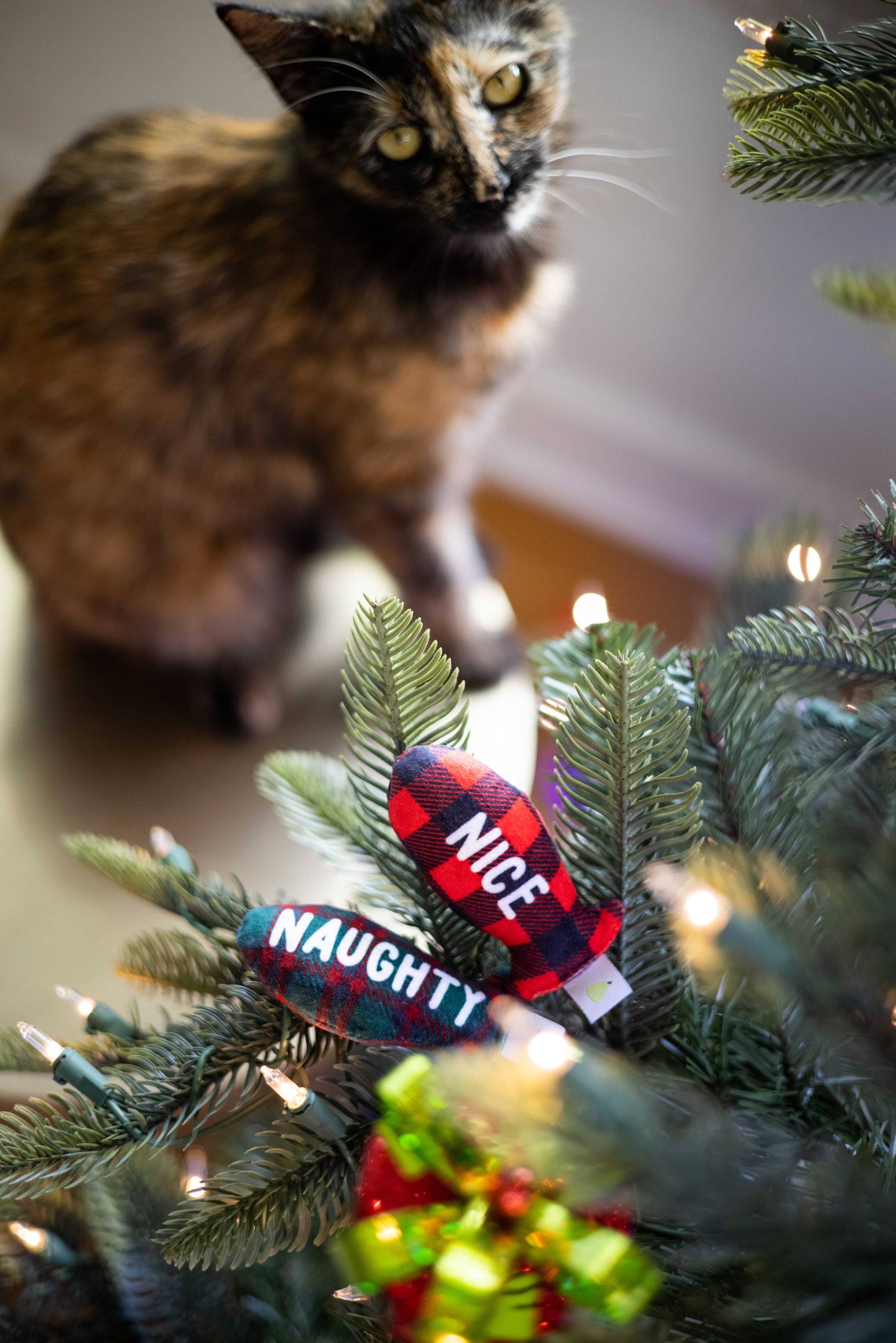 Christmas Naughty & Nice Cat Toys