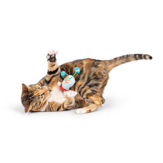 Holiday Bird Chirpy Cat Toy