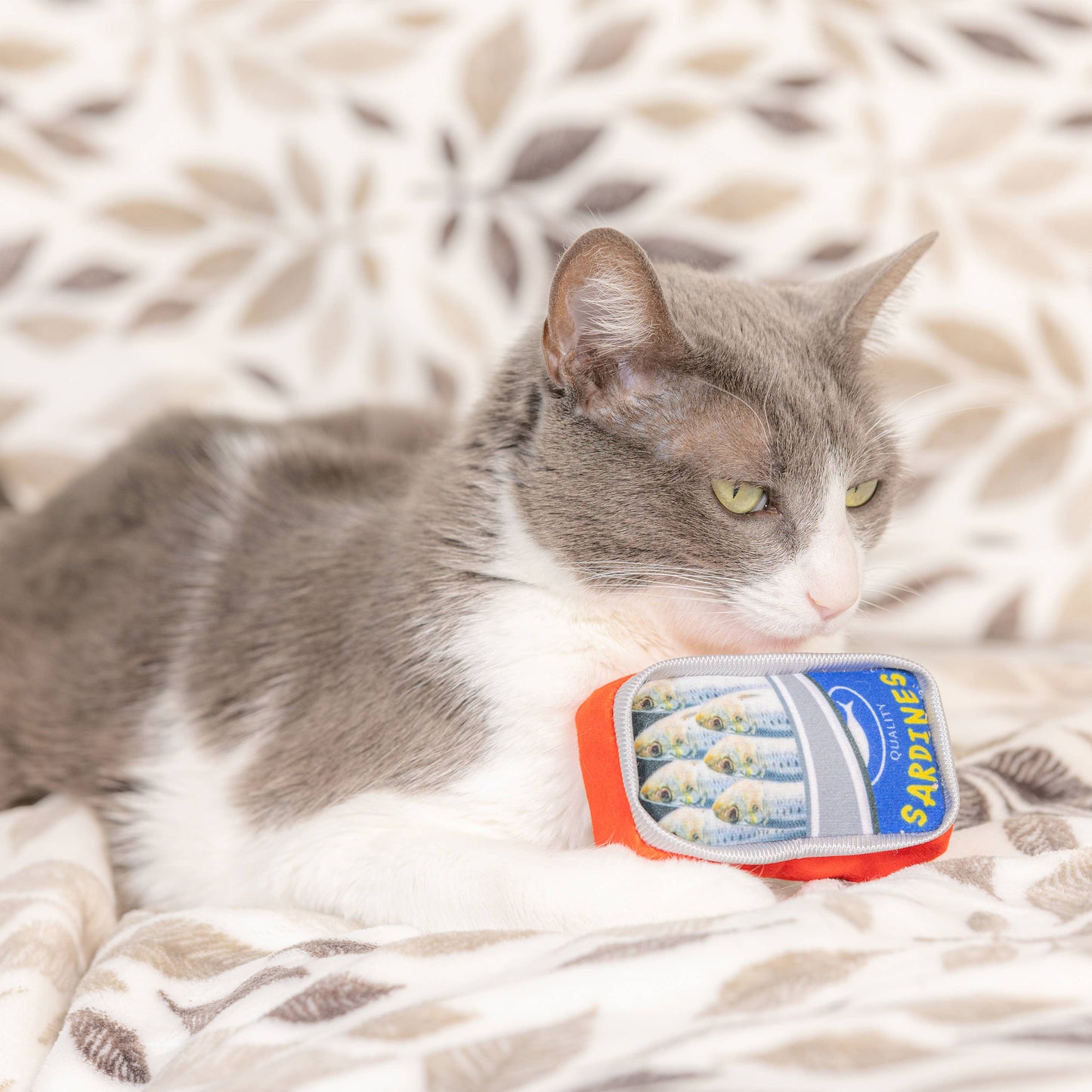 Sardine Tin Cat Toy