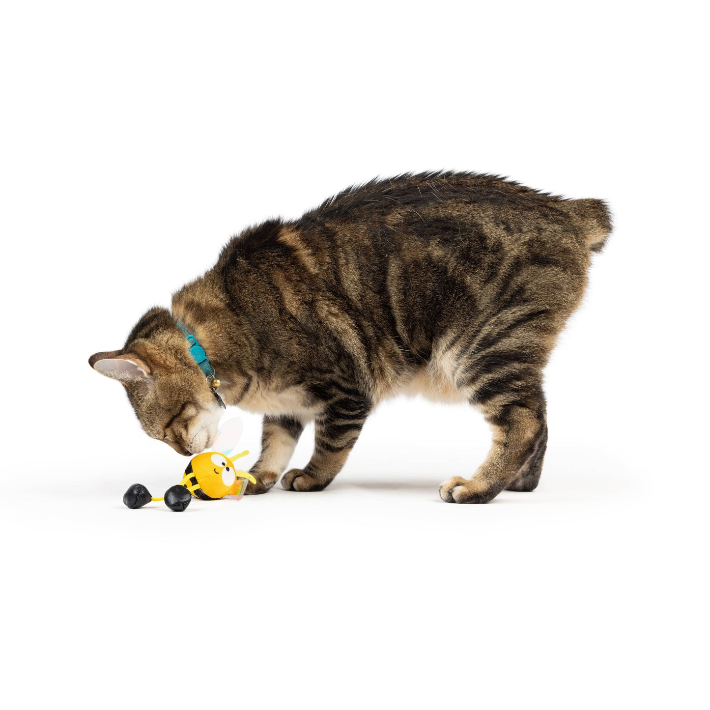 Bumble Bee Chirpy Cat Toy